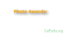 Photo Awards:
￼
